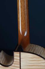 Akira Acoustic A3 cutaway_9