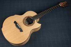 Akira Acoustic A3 cutaway_10