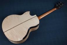 Akira Acoustic A3 cutaway_12