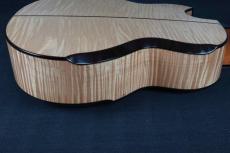 Akira Acoustic A3 cutaway_13