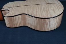 Akira Acoustic A3 cutaway_14