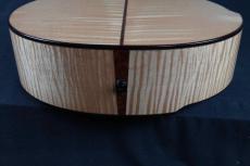 Akira Acoustic A3 cutaway_16