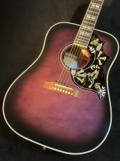 Gibson 【NEW】 Hummingbird Standard-Purple Burst- #22405034 [G-ClubTokyo] 【試奏動画あり】