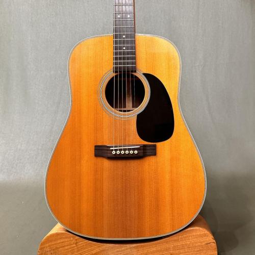 Martin D-28