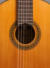 Aiersi Guitar SC02CRA-J【ラティス|アームレスト|杉&ローズ】好評につき追加しました!_2