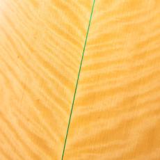 KIGE工房 Concert 木曽檜/ブナ_10