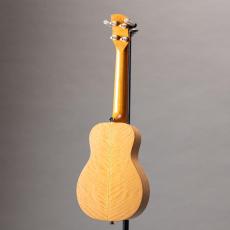 KIGE工房 Concert 木曽檜/ブナ_12