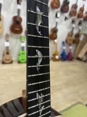 aNueNue Kyas Black Whale 2E Concert w/P.U_3