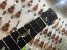 aNueNue Kyas Black Whale 2E Concert w/P.U_7