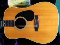 Martin D-28_2