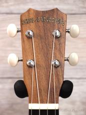 ISLANDER by Kanile'a AC-4 Concert 【コンサート/アカシア】【送料込】_8