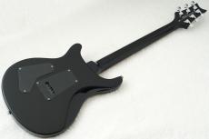 Paul Reed Smith [PRS] SE CUSTOM 24 ～Sapphire～ #CTIG088248 [3.49kg]【48回無金利】_11