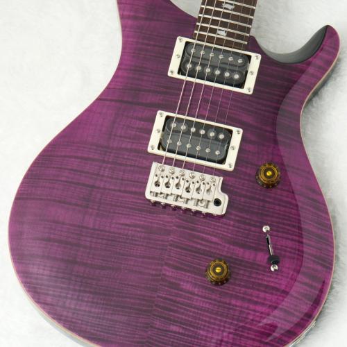Paul Reed Smith [PRS] SE CUSTOM 24 ～Amethyst～ #CTIG118907 [3.54kg]【48回無金利】