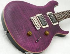 Paul Reed Smith [PRS] SE CUSTOM 24 ～Amethyst～ #CTIG118907 [3.54kg]【48回無金利】_4