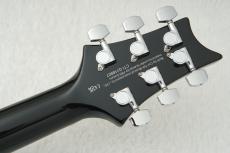 Paul Reed Smith [PRS] SE CUSTOM 24 ～Amethyst～ #CTIG118907 [3.54kg]【48回無金利】_10