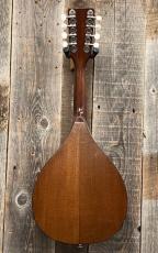Martin Style-A Mandolin 1947_6