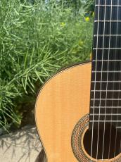 Aiersi Guitar SC098SPF-JS【スモールマンモデル|松&ローズ】_5