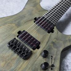 SCHECTER AD-C-1-APOC 「生産完了モデル」_3