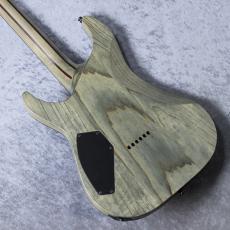 SCHECTER AD-C-1-APOC 「生産完了モデル」_4