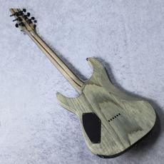 SCHECTER AD-C-1-APOC 「生産完了モデル」_5