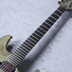 SCHECTER AD-C-1-APOC 「生産完了モデル」_6