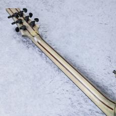 SCHECTER AD-C-1-APOC 「生産完了モデル」_7