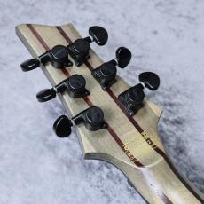 SCHECTER AD-C-1-APOC 「生産完了モデル」_9