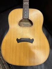 ZEMAITIS '1986 D-Hole Acoustic_2