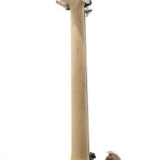 Paul Reed Smith [PRS] CE 24 / Carroll Blue_5