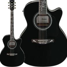 Ibanez AC391RCE エレアコギター