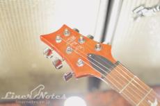 Paul Reed Smith [PRS] 2021 SE Custom22 (Vintage Sunburst)_7