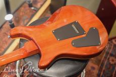 Paul Reed Smith [PRS] 2021 SE Custom22 (Vintage Sunburst)_8