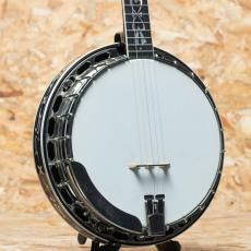 RICH & TAYLOR Custom 5string Banjo 1995