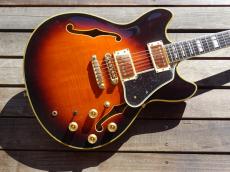Ibanez AS-200_2