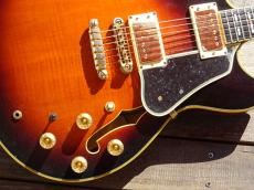 Ibanez AS-200_3