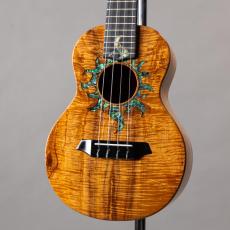 G String C1 Sun Concert_2