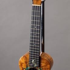 G String C1 Sun Concert_5