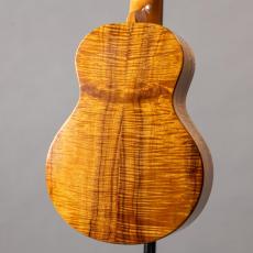 G String C1 Sun Concert_9