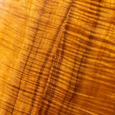 G String C1 Sun Concert_10