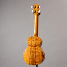 G String C1 Sun Concert_12