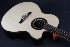 Peggy White PREMIER Cutaway_7