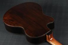 Peggy White PREMIER Cutaway_8