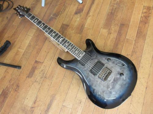 Paul Reed Smith [PRS] SE Mark Holcomb