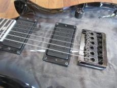 Paul Reed Smith [PRS] SE Mark Holcomb_7