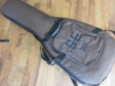 Paul Reed Smith [PRS] SE Mark Holcomb_8