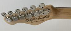 Black Smoker STANDARD DELTA-SP / White Open Pore Matte_11