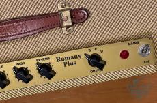 CORNELL Romany Plus_7