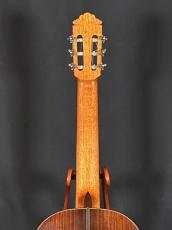 Marcelo Barbero hijo para casa Arcangel  松/ハカランダ単板　極美品_6