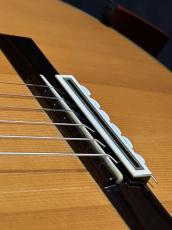 Marcelo Barbero hijo para casa Arcangel  松/ハカランダ単板　極美品_9