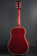 Gibson Hummingbird Custom_4